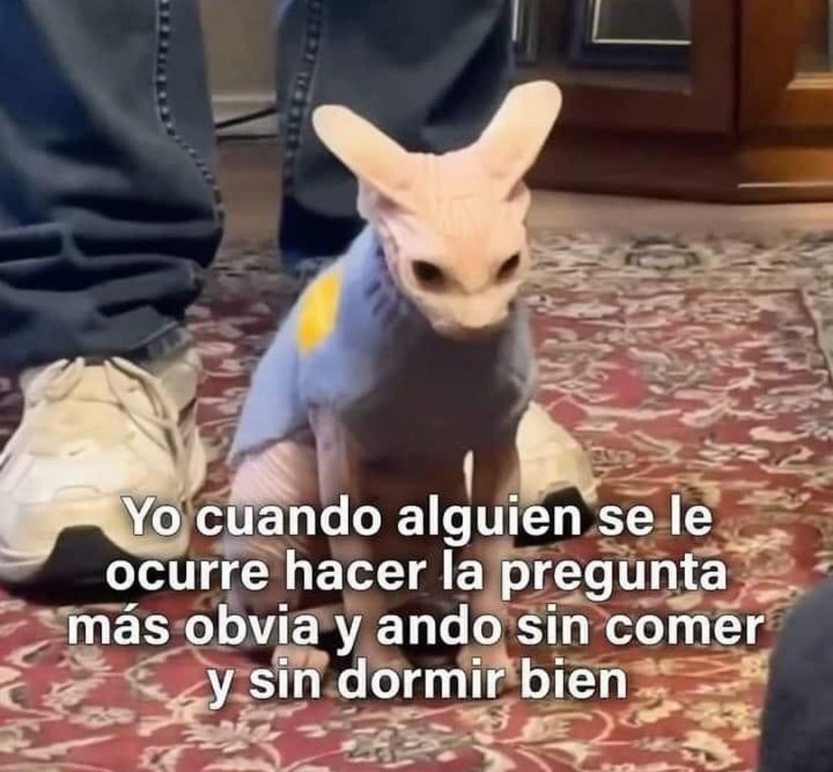 soyMargarlto's tweet photo. Jajajaj 😒 https://t.co/3dmJRHXTcQ