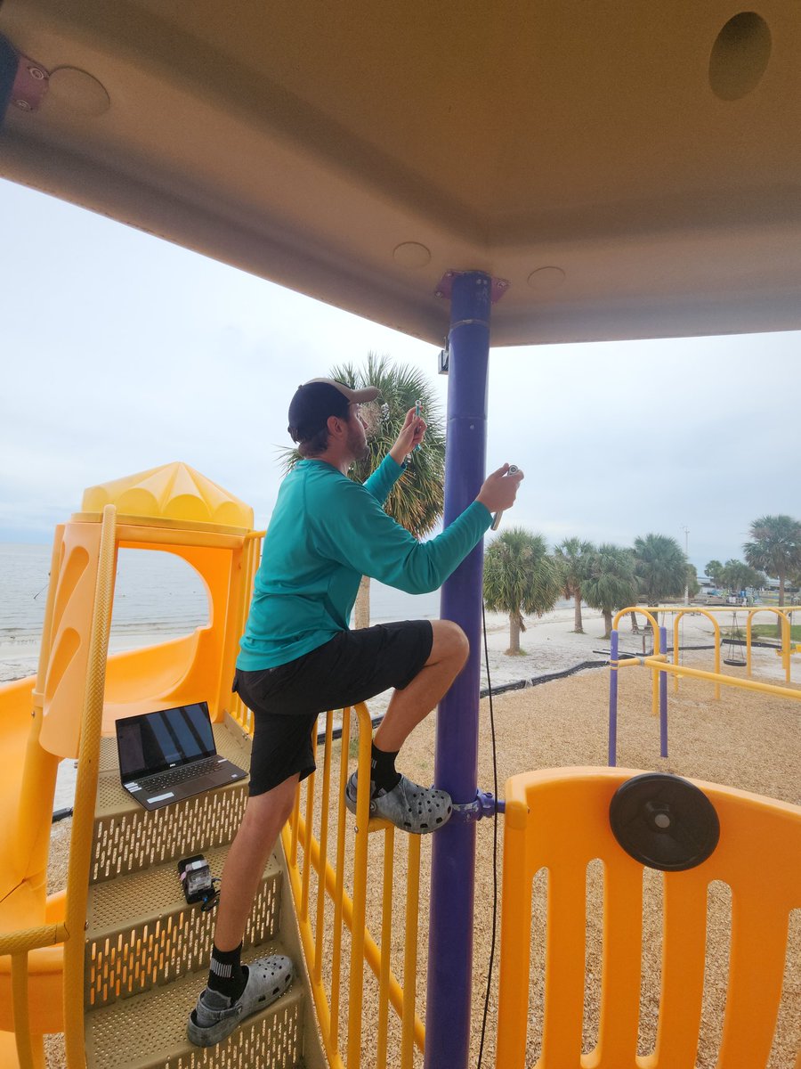 Ryan Mieras tweet media