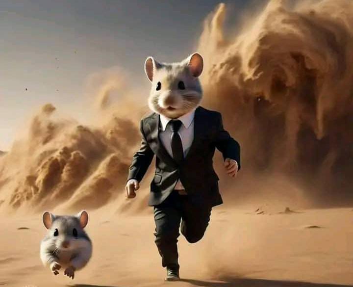 padrocream's tweet photo. @hamster_kombat CEOs on the run https://t.co/Zj92sdd4g0