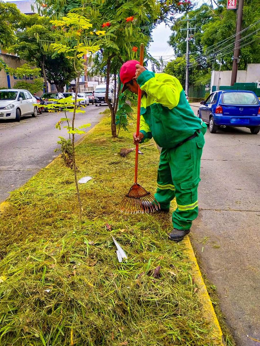📣Por indicación del alcalde <a href="/jluriosteguis/">José Luis Urióstegui</a>, el <a href="/CuernavacaGob/">Municipio Cuernavaca</a>, a través del área de #ParquesYJardines🌱realiza acciones de limpieza, chaponeo y recolección de desecho vegetal de manera constante en distintos puntos de la ciudad.