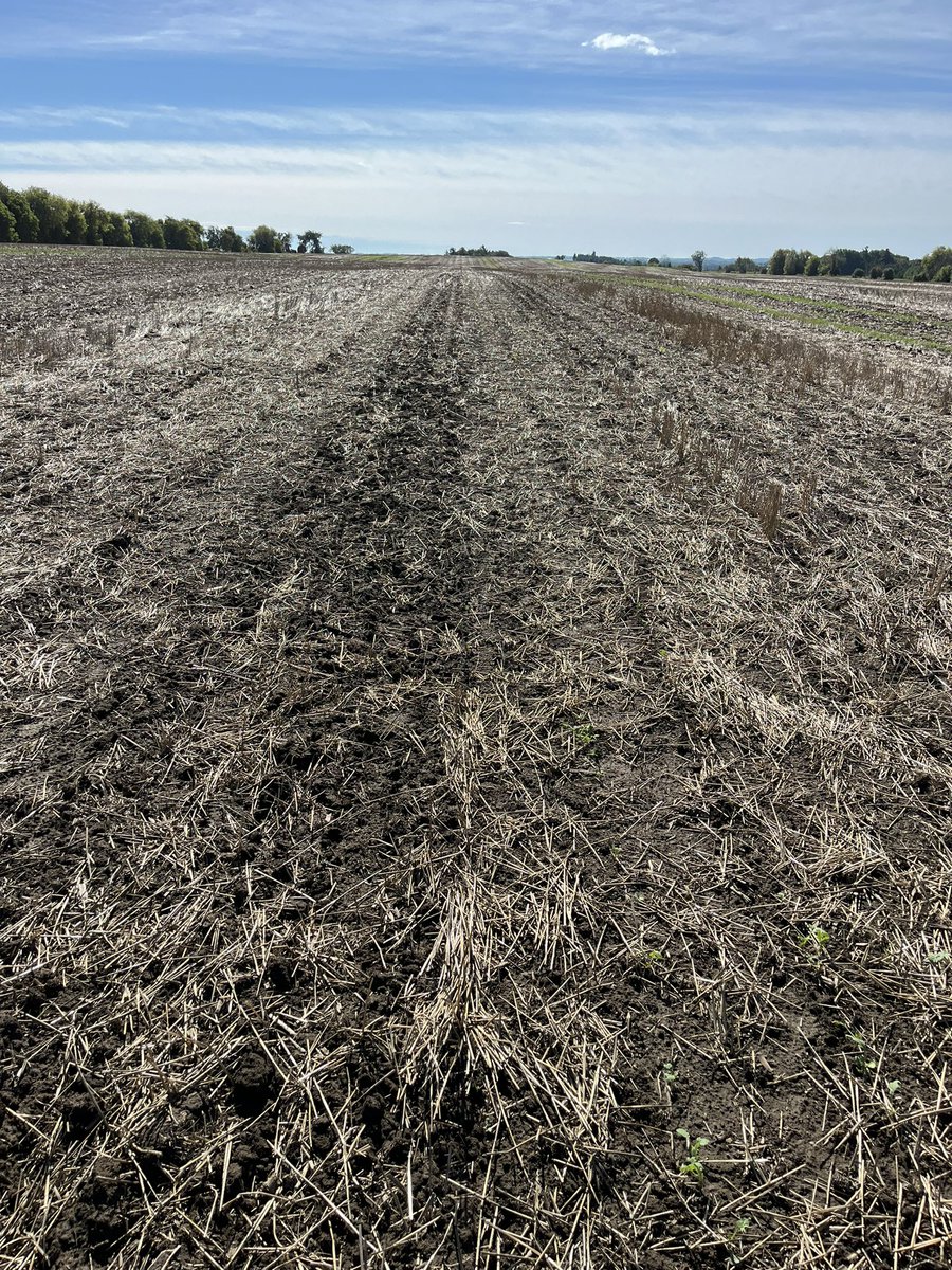 Meghan Moran tweet media