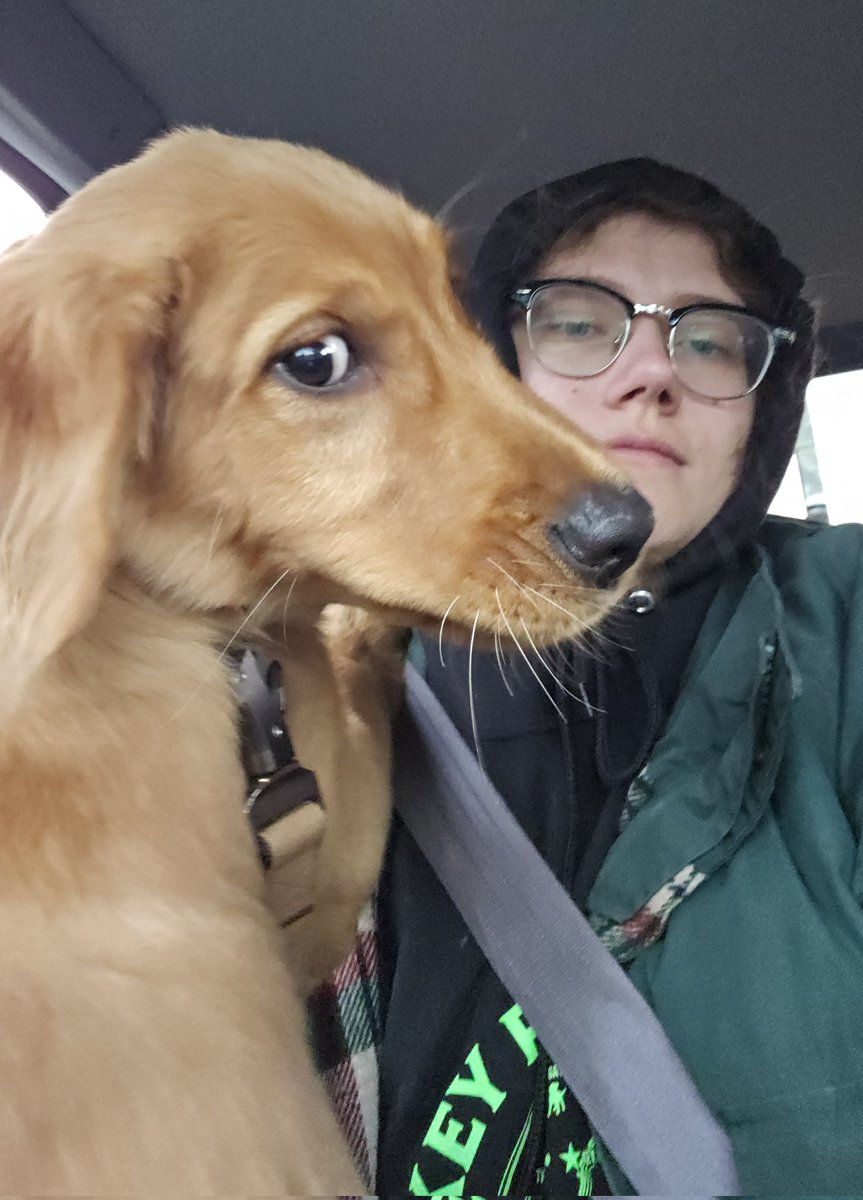 Ferret Zone tweet media