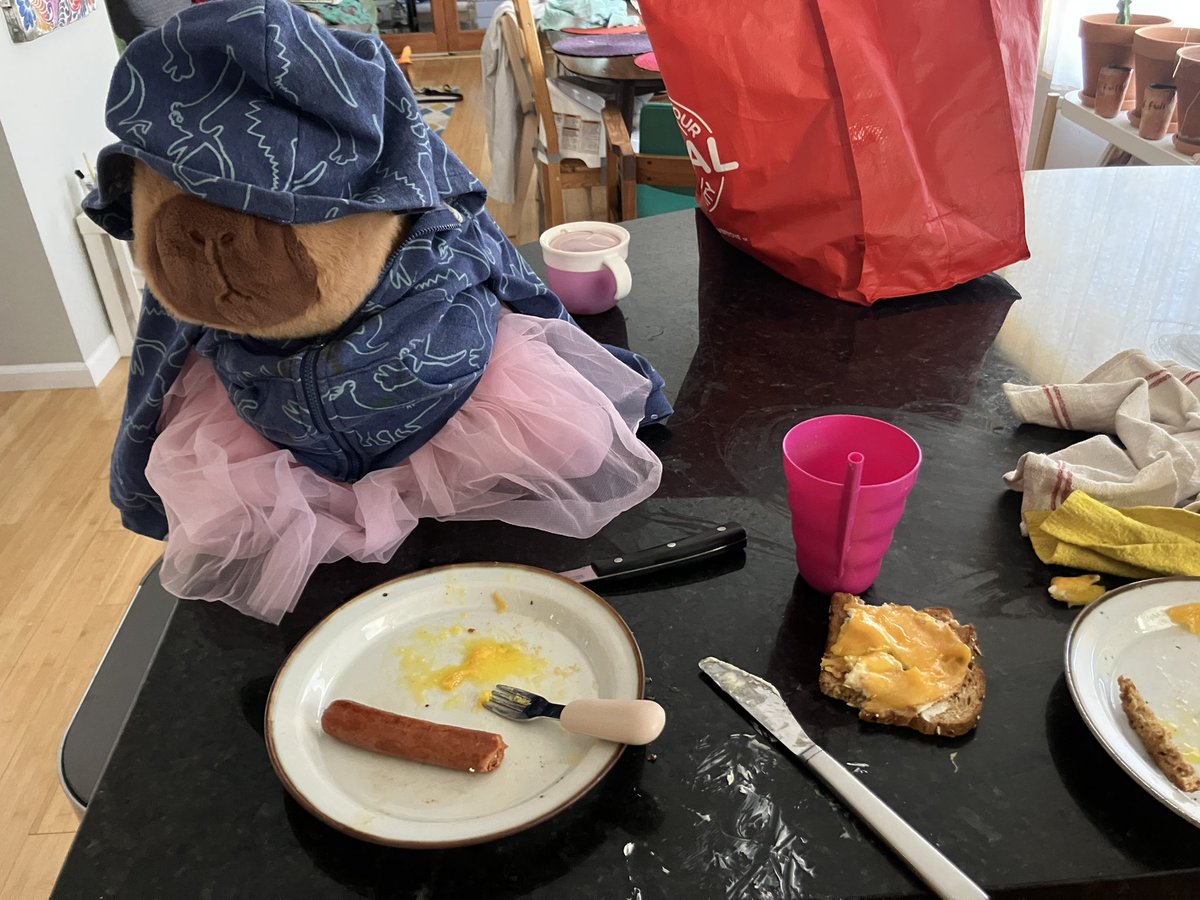 90% of breakfast is dressing capybaras and 10% is touching and maybe, maybe eating food