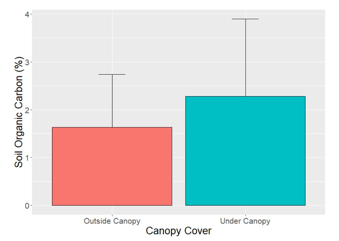 News from TomKat Ranch, September 2024 - 🌾 Golden Hues - mailchi.mp/tomkatranch.or…
