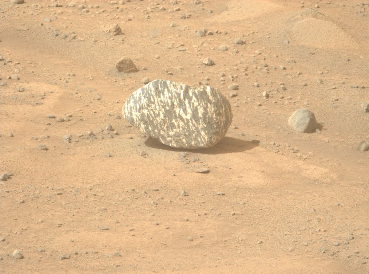 AsgardiaSpace's tweet image. 🤔 How did this striped #Mars rock end up here? NASA's #PerseveranceRover recently captured this fascinating find near the rim of #JezeroCrater. It likely rolled down into the pebbly terrain, and now the science team is eager to find more of this unique rock type uphill! 🚀🔍