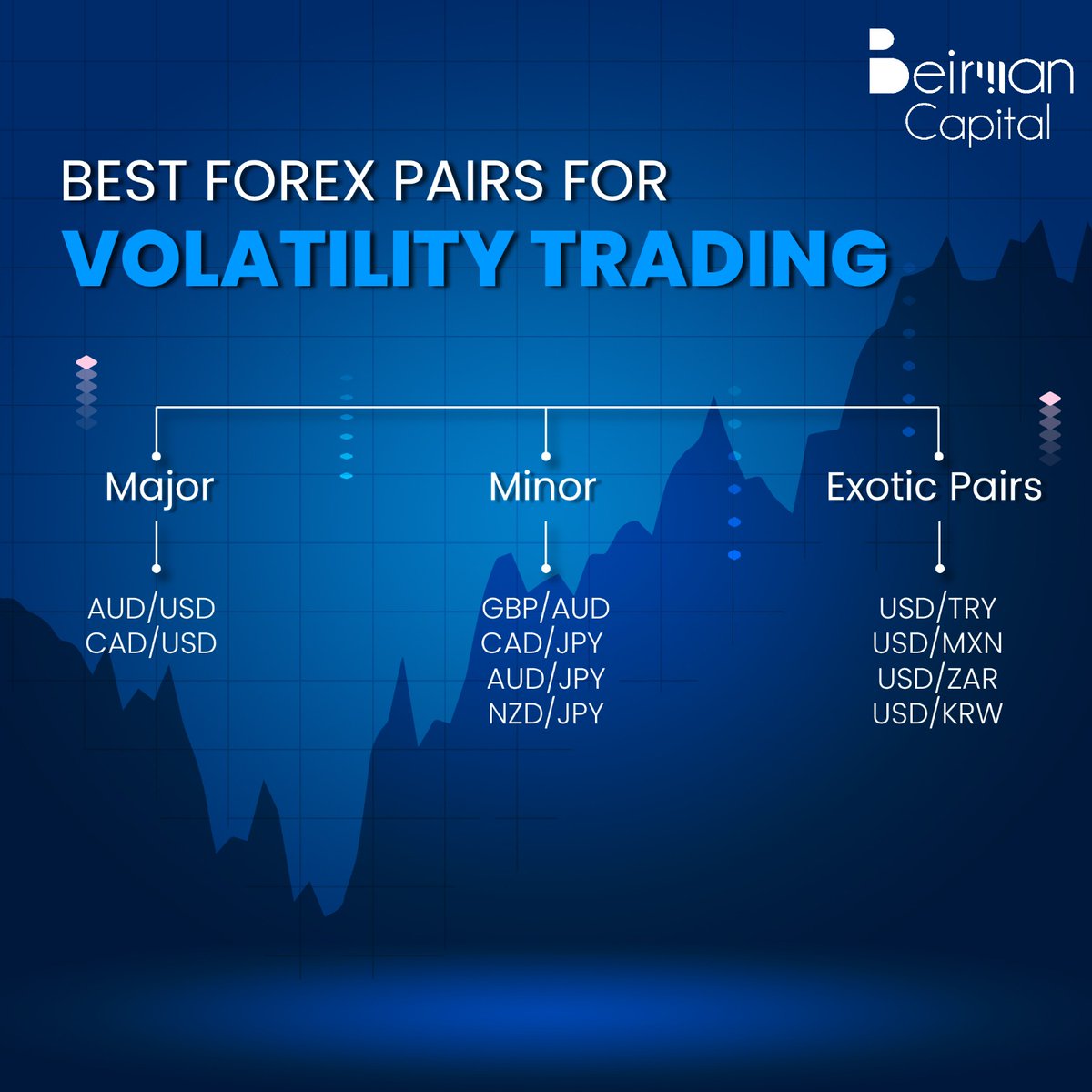 BeirmanCapital's tweet image. 💹 Trade volatility like a pro!

⏳ Open an account in just 5 minutes and invest effortlessly in forex, indices, and stocks!

🔗 Tap the link in bio 
#MoneyForex 💵 #ForexDemo 🎓 #ForexContest 🏆 #ForexRebate 💰 #FXBonus 💸 #CopyFXTrading 📈 #CopyFX 🔄 #RoboForexNews