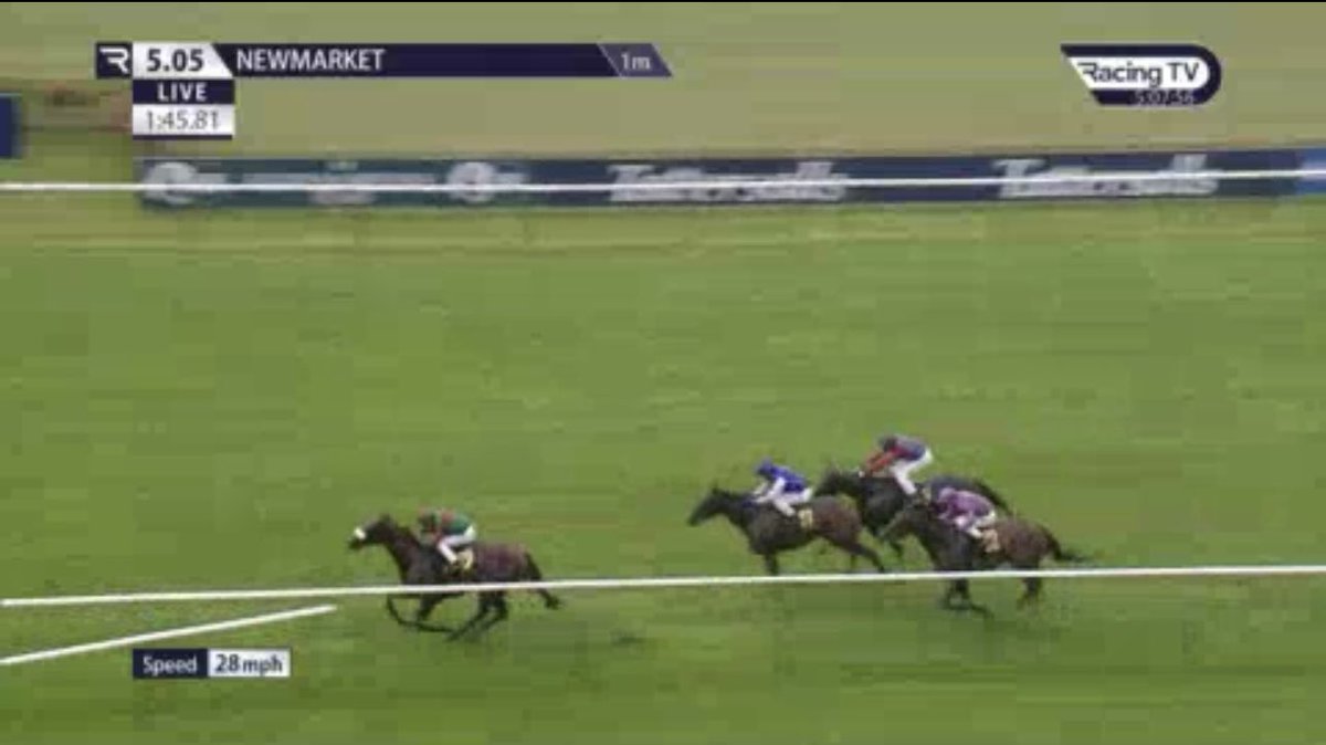 the racing newsletter tweet media