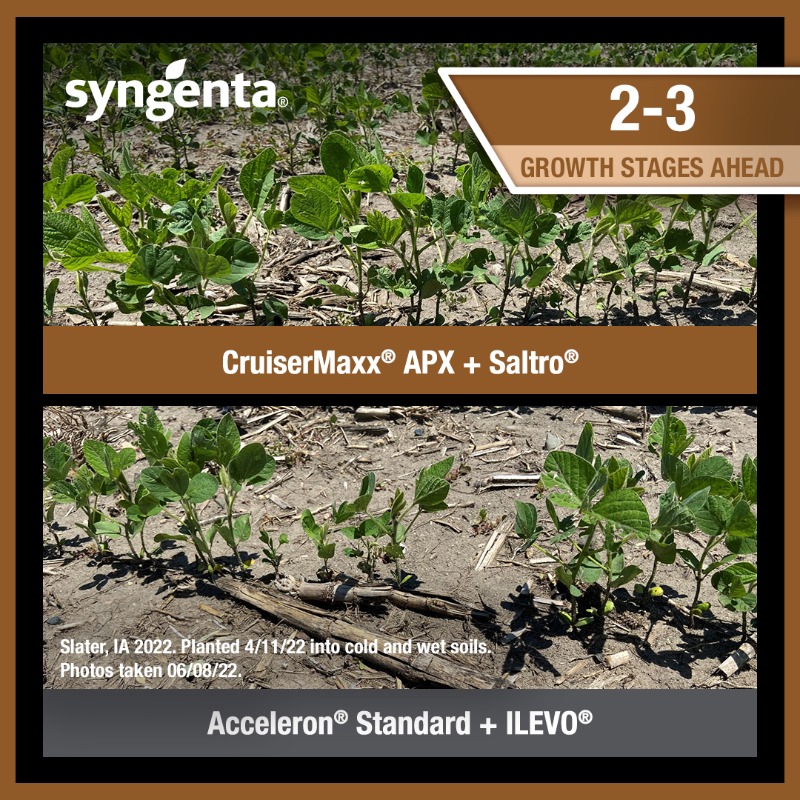 SyngentaUS's tweet photo. Better yields start with healthier soybeans and a powerful plant stand 💪. Maximize your seed investment with CruiserMaxx APX and Saltro seed treatments.