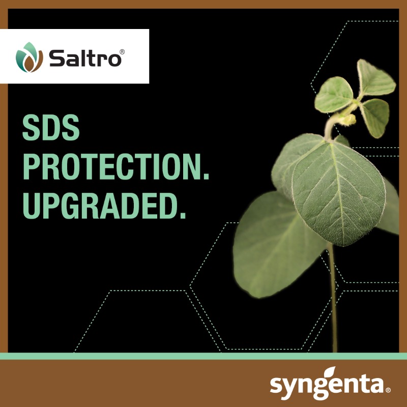 SyngentaUS's tweet photo. Better yields start with healthier soybeans and a powerful plant stand 💪. Maximize your seed investment with CruiserMaxx APX and Saltro seed treatments.