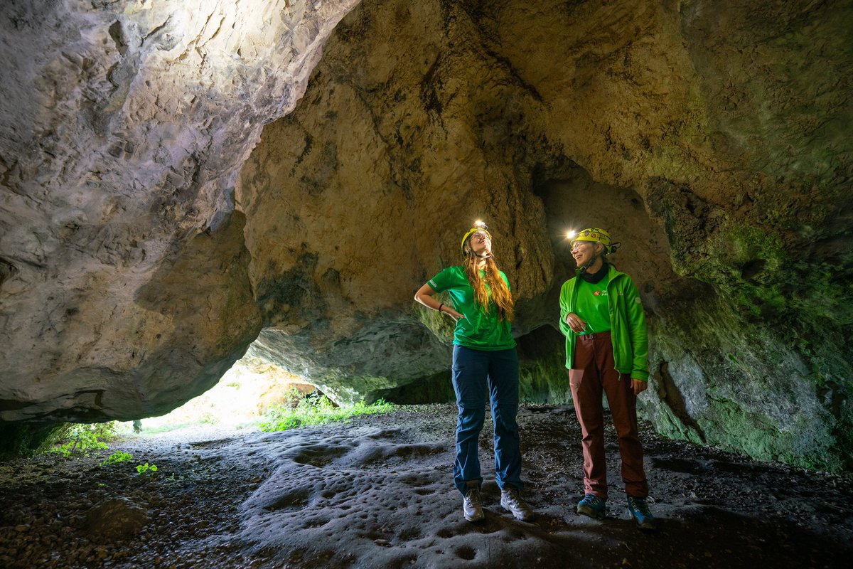 Rosemary Coogan tweet media