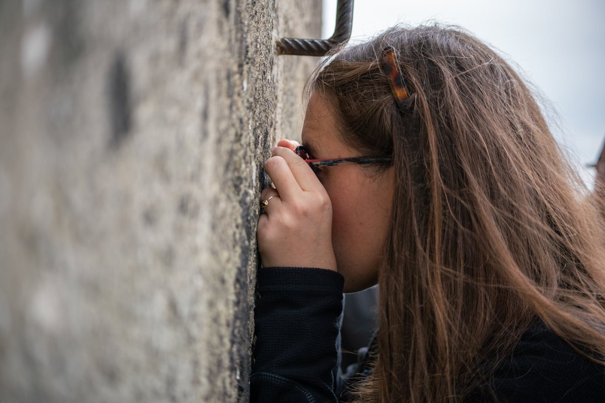 Rosemary Coogan tweet media