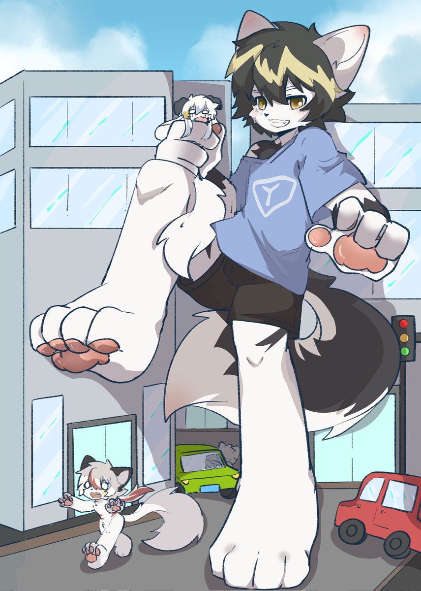 太空机翼→HF tweet media