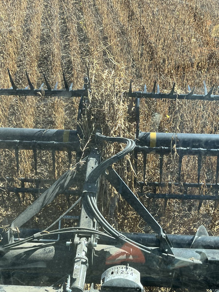 Walter Smith tweet media