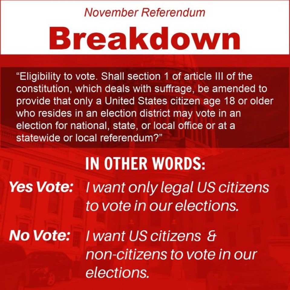 SheriJesielWI's tweet photo. Really important constitutional amendment on the ballot!  Be sure to vote YES (and tell everyone you know to do the same) to ensure that only legal citizens can vote in Wisconsin elections. https://t.co/oe4EUPosfG