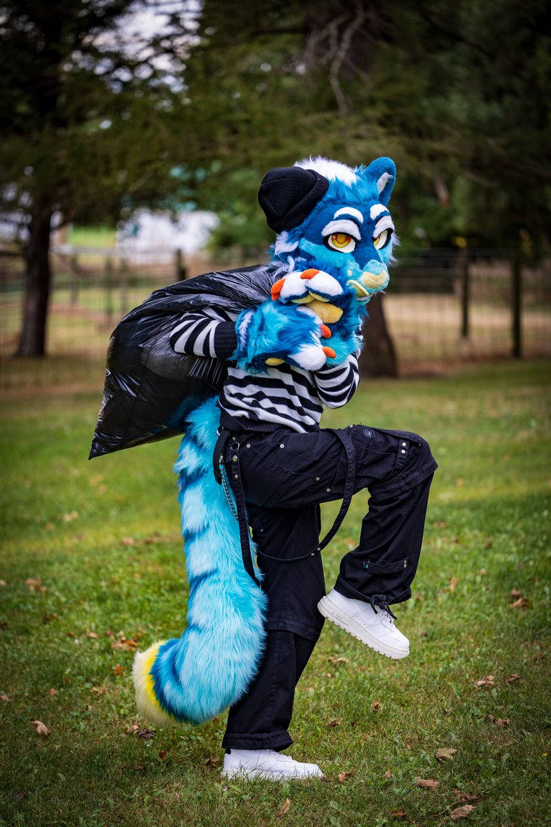 ThatChicagoFox's tweet photo. Con artist getting ready for a heist

@aetherdayeen 

#MFF2024 #fursuit #furry https://t.co/cei46TRJAb