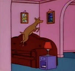 Simpsons Albums tweet media