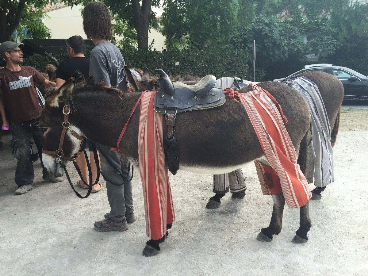 Gary Rogers tweet media