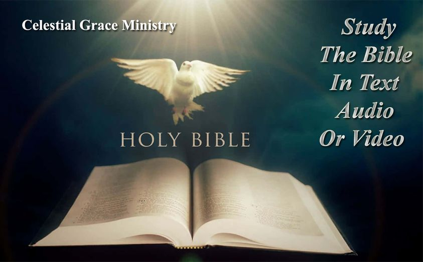 Study The Bible In Text, Audio or Video:  celestialgrace.org/bible/bible-me…