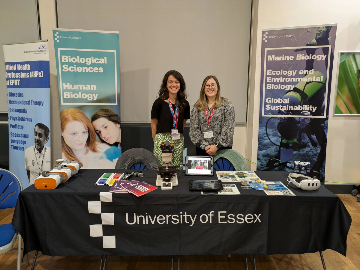 Lizzie Archer tweet media