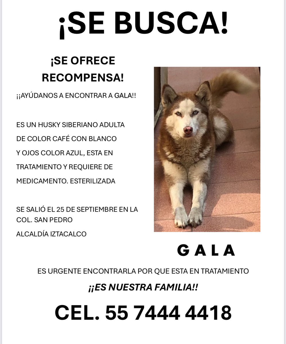 Mafer Blanco tweet media