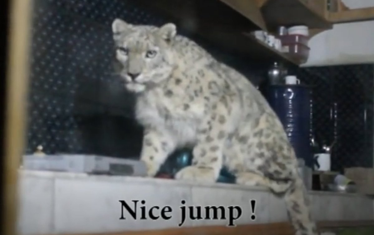 dangerpylons's tweet image. 