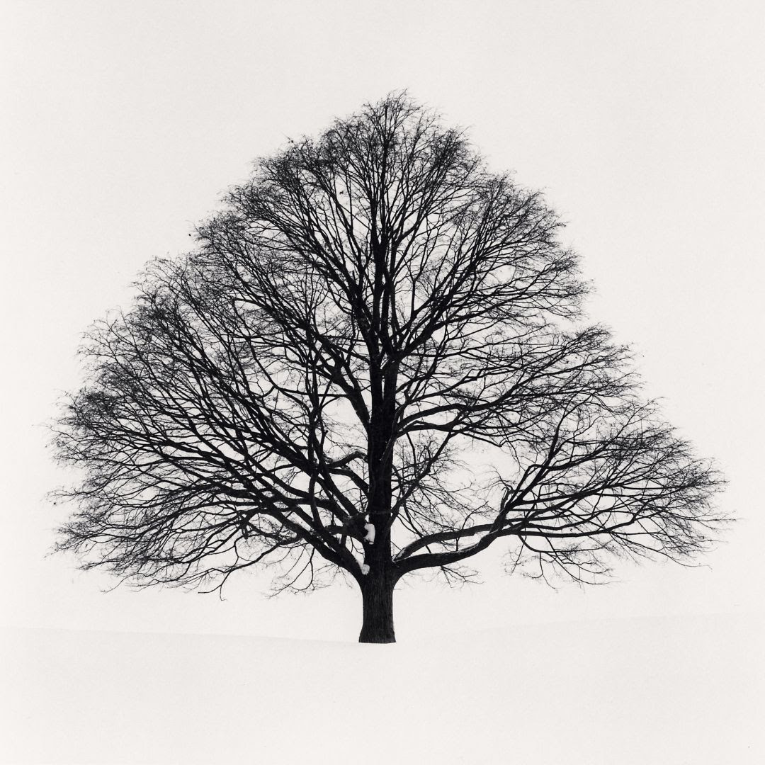 Japan | A Love Story by Michael Kenna

We hope you can all visit the opening weekend of Michael Kenna’s exhibition in London, with a book signing on Sat 28 Sep, 11:00 - 13:00

Asia House
63 New Cavendish Street
London W1G 7LP

Exhibition hours
Mon - Sun 10am - 6pm
25 Sep- 20 Oct