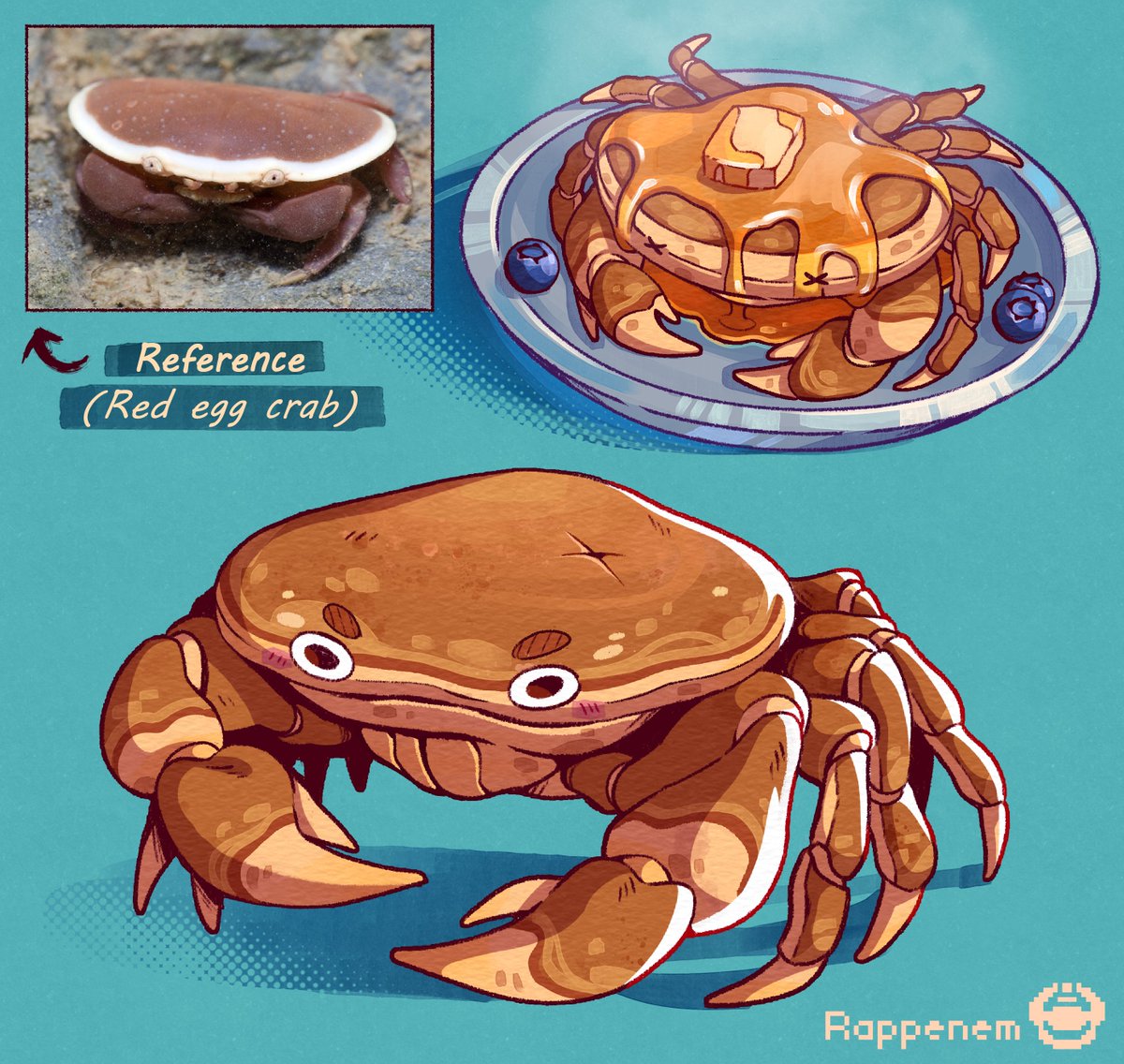 Pancake crab 🥞