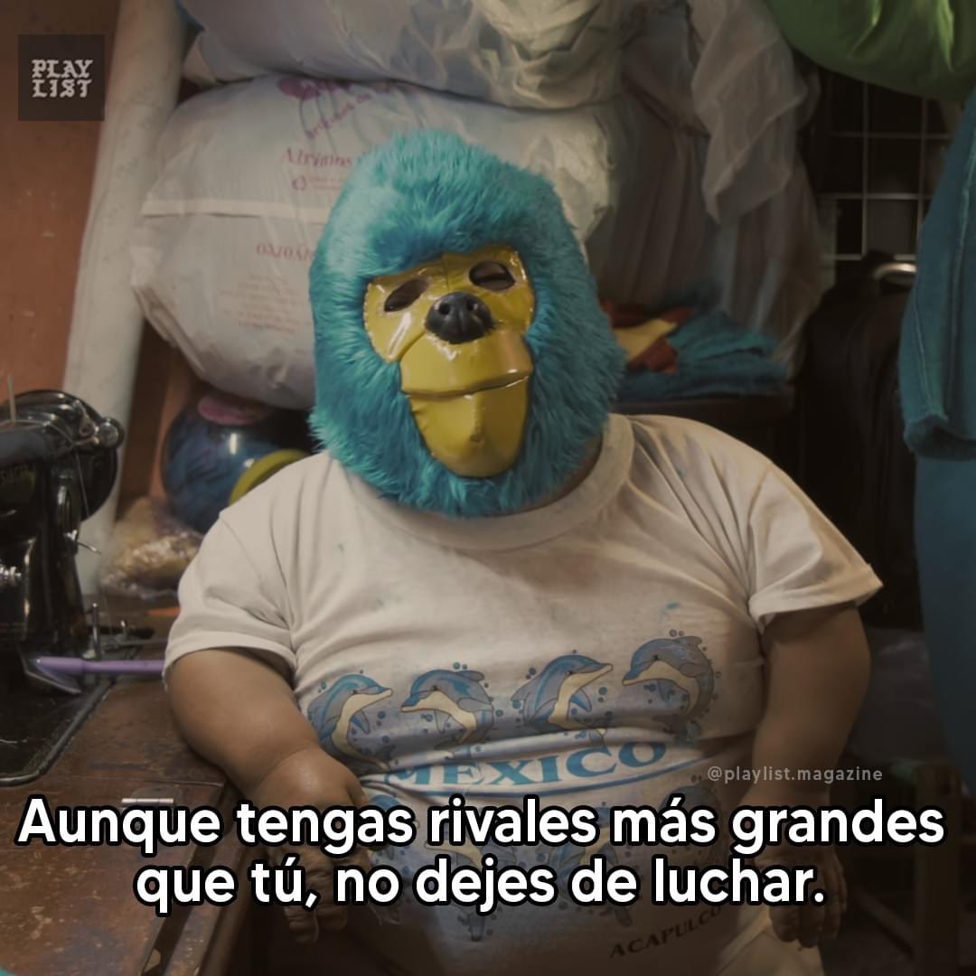 Kemonito (@kemonitomx) on Twitter photo 