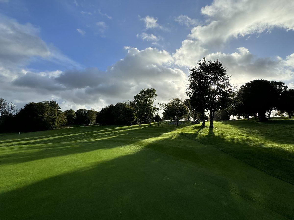 iestyn carpenter tweet media