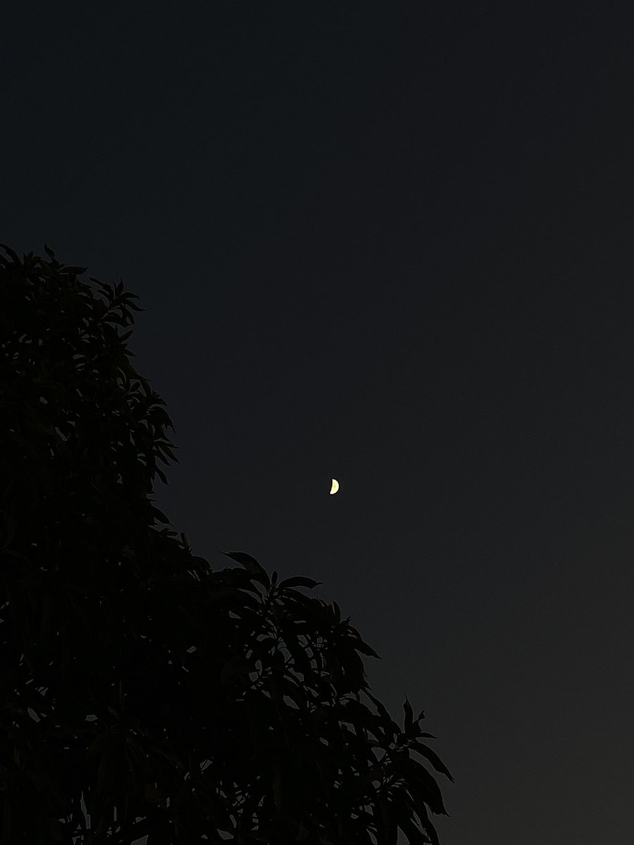 🔭 (@sky_n19) on Twitter photo 