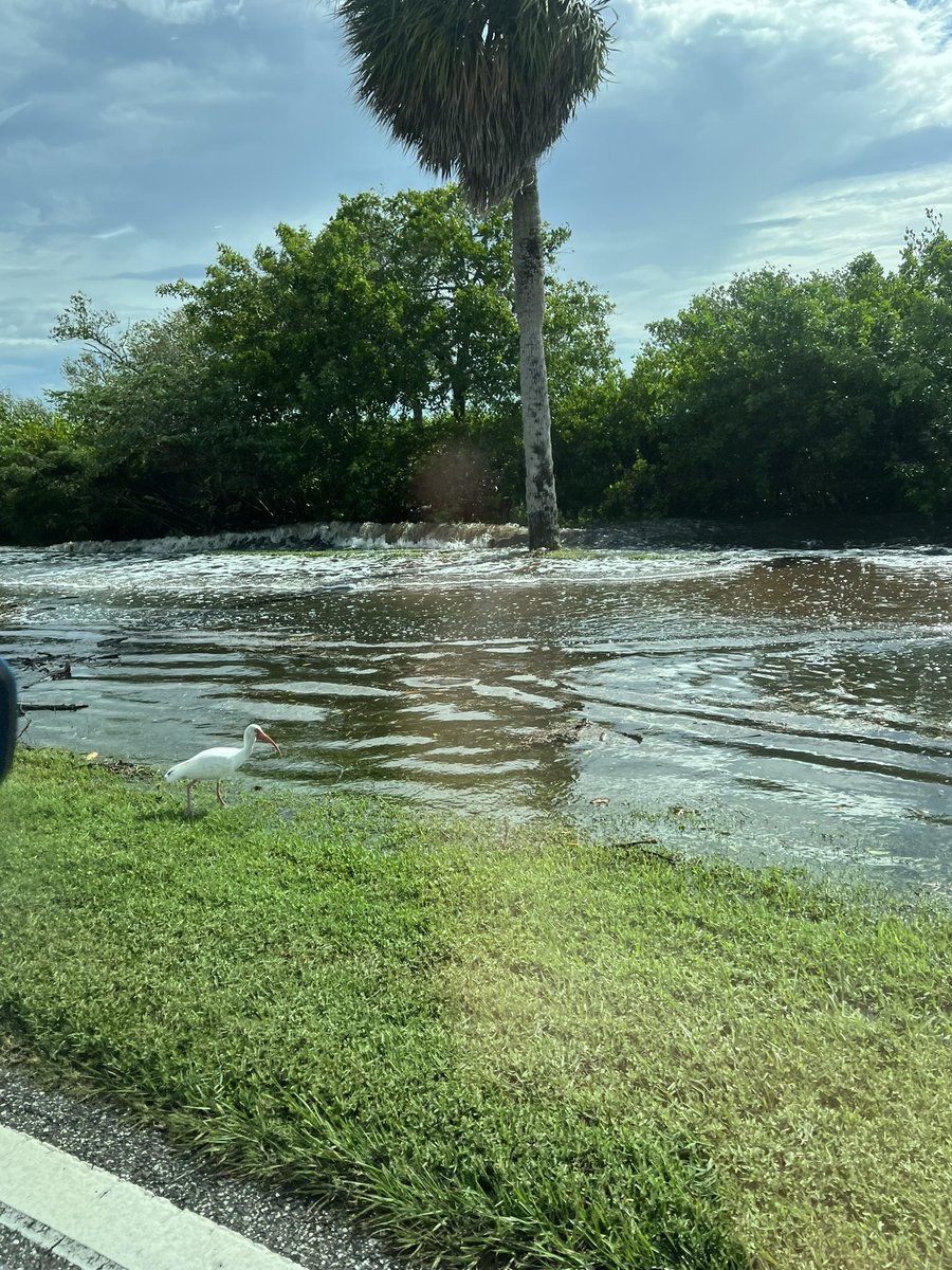 nicole_caffary's tweet photo. #HurricaneHelen #Flooding
🚨UPDATE🚨
What S Bayshore Blvd., in Safety Harbor & Clearwater Area currently looks like.
Only has been getting worse and worse… this is only the beginning!
#Hurricane #HurricaneHelen #florida #clearwater #weather #WeathAlert #Florida @WFLA https://t.co/mRnynkN2Jy