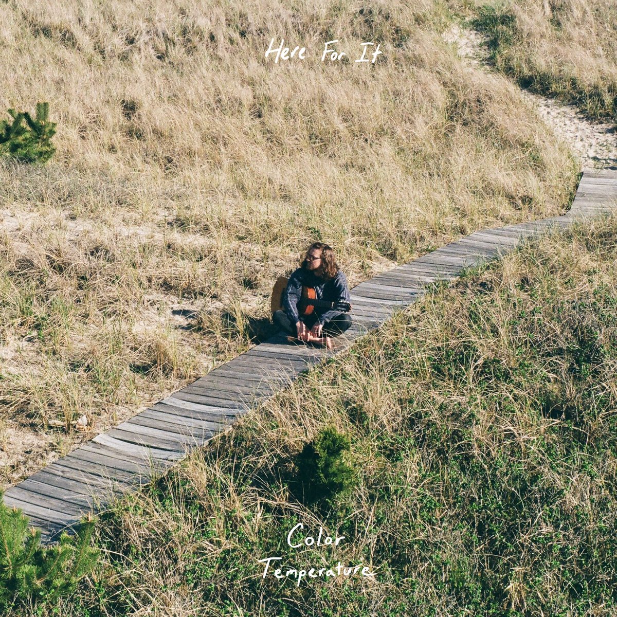 color temperature tweet media