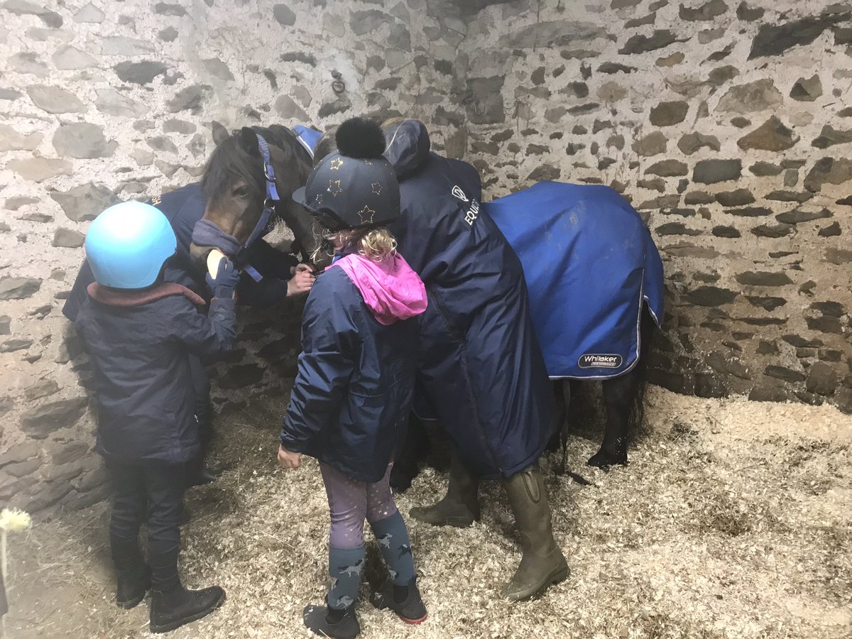 Sedbergh Prep Riding tweet media