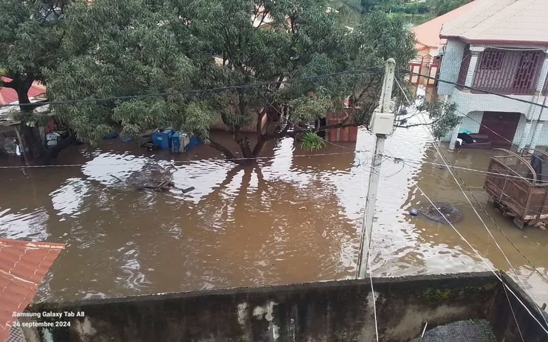 SouarAlhassane2's tweet image. Urgent : Très certainement, le fleuve qui traverse la ville de Gueckedou a débordé sous l’effet des grandes pluie ☔️les constructions anarchistes et les déchets 🚮 qui sont quotidiennement déversés par la population au vu et su de toutes les autorités. #Kibaro #Espacegg