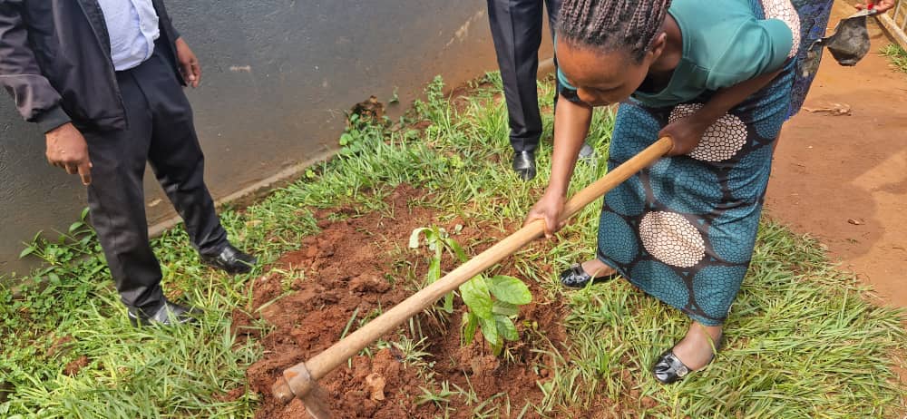 RotaryNaalya's tweet image. Our Plant Your Balance campaign started with a tree-planting exercise at St Mbaaga Tuzinde Primary School Kiwatule. #savetheenvironment #PlantaTree #trees #environment #Rotary @rotaryd9213