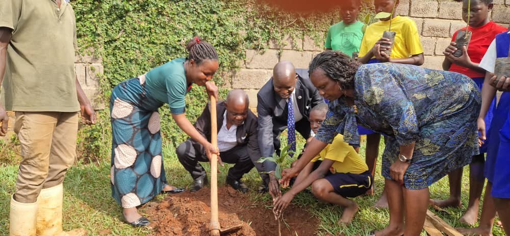 RotaryNaalya's tweet image. Our Plant Your Balance campaign started with a tree-planting exercise at St Mbaaga Tuzinde Primary School Kiwatule. #savetheenvironment #PlantaTree #trees #environment #Rotary @rotaryd9213