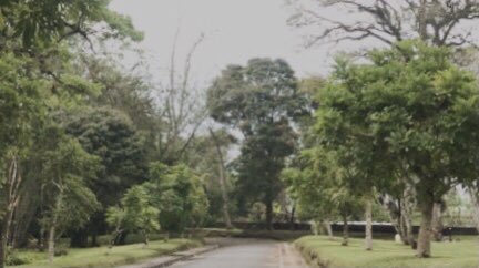 udah lama gak liat yang ijo-ijo