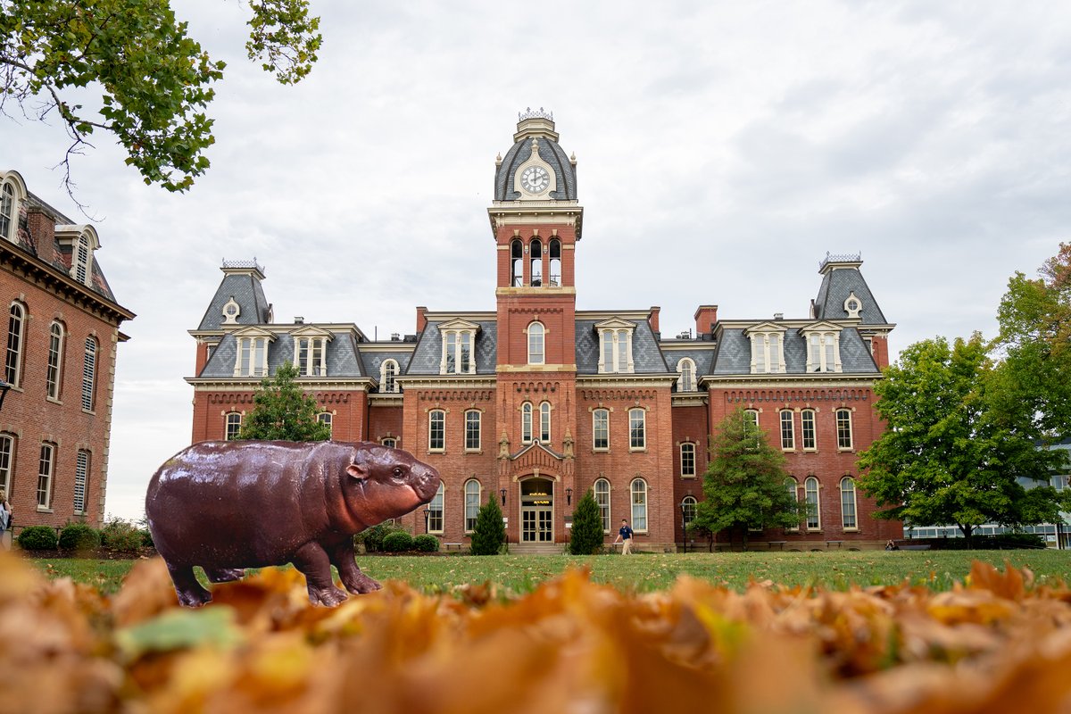 Moo Deng loves fall on campus.