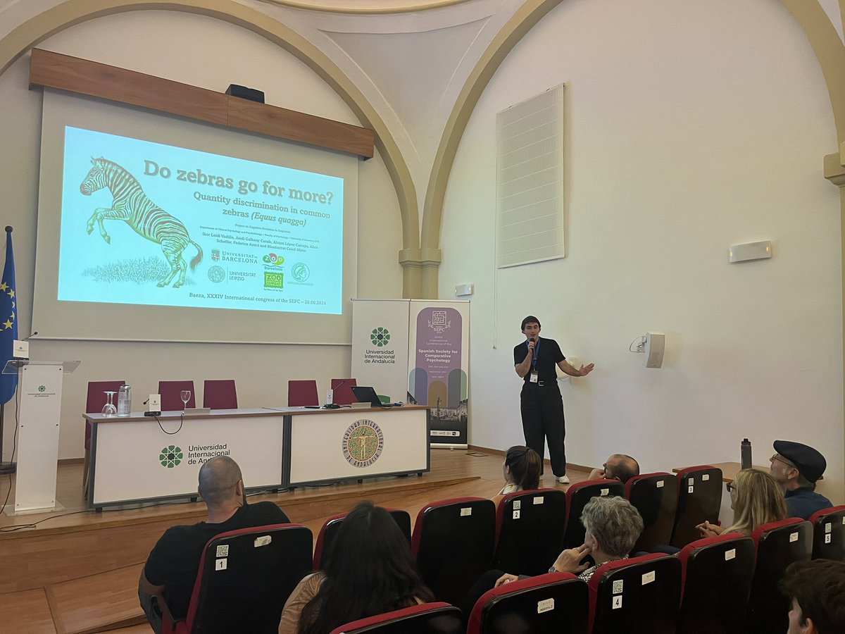 SEPC Jaén 2024 tweet media