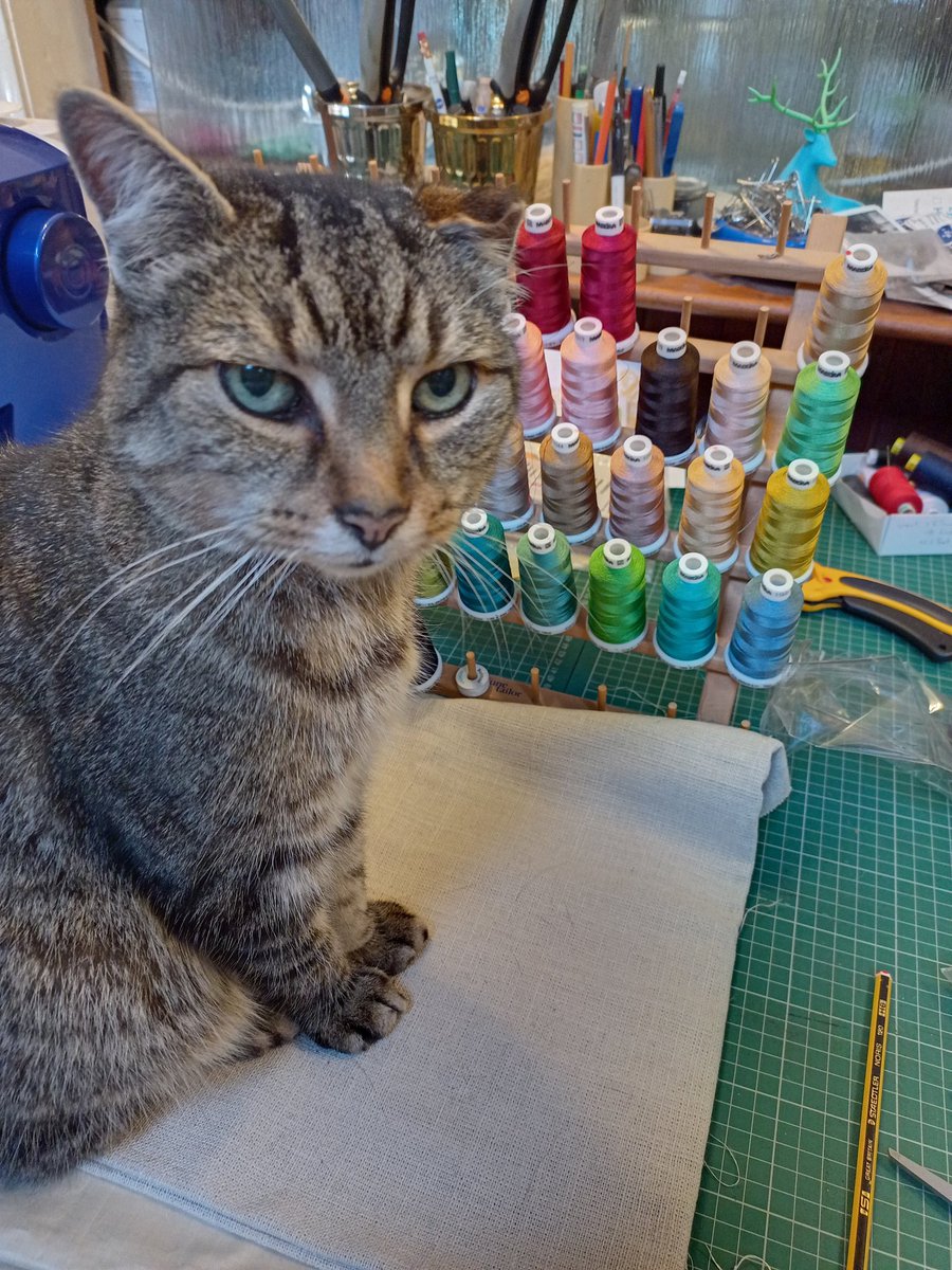 I have laid out decoy fabric to distract him from the #embroidery