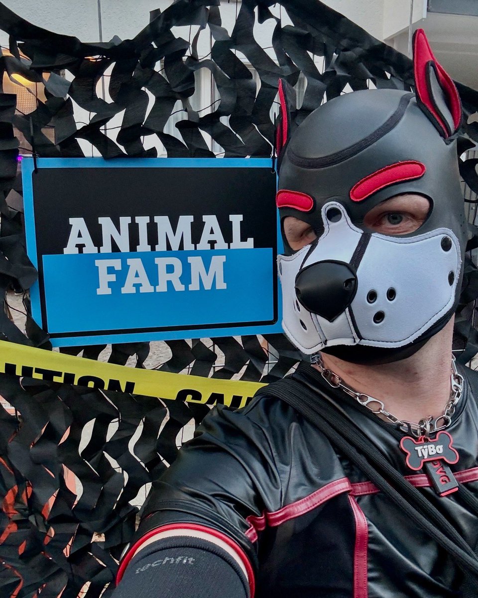 tybo_pup's tweet photo. FOLSOM Street Fair 2024 Berlin.
At that time on an Animal Farm. Group photo. https://t.co/TatHFU4C9R
