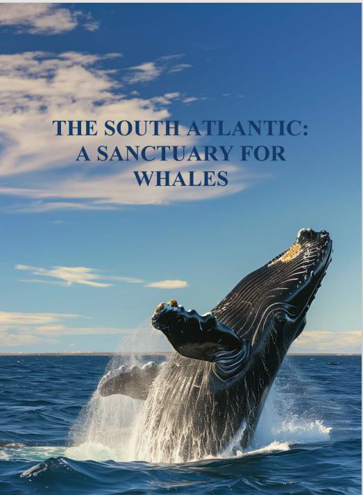 The day has arrived at IWC69, where the South Atlantic Whale Sanctuary will be put to vote. The SAWS aims for long-term conservation and non-lethal use of whales, covering the migratory territories of several cetacean species. However, it requires a 3/4 majority to pass...🧵🧵🐋