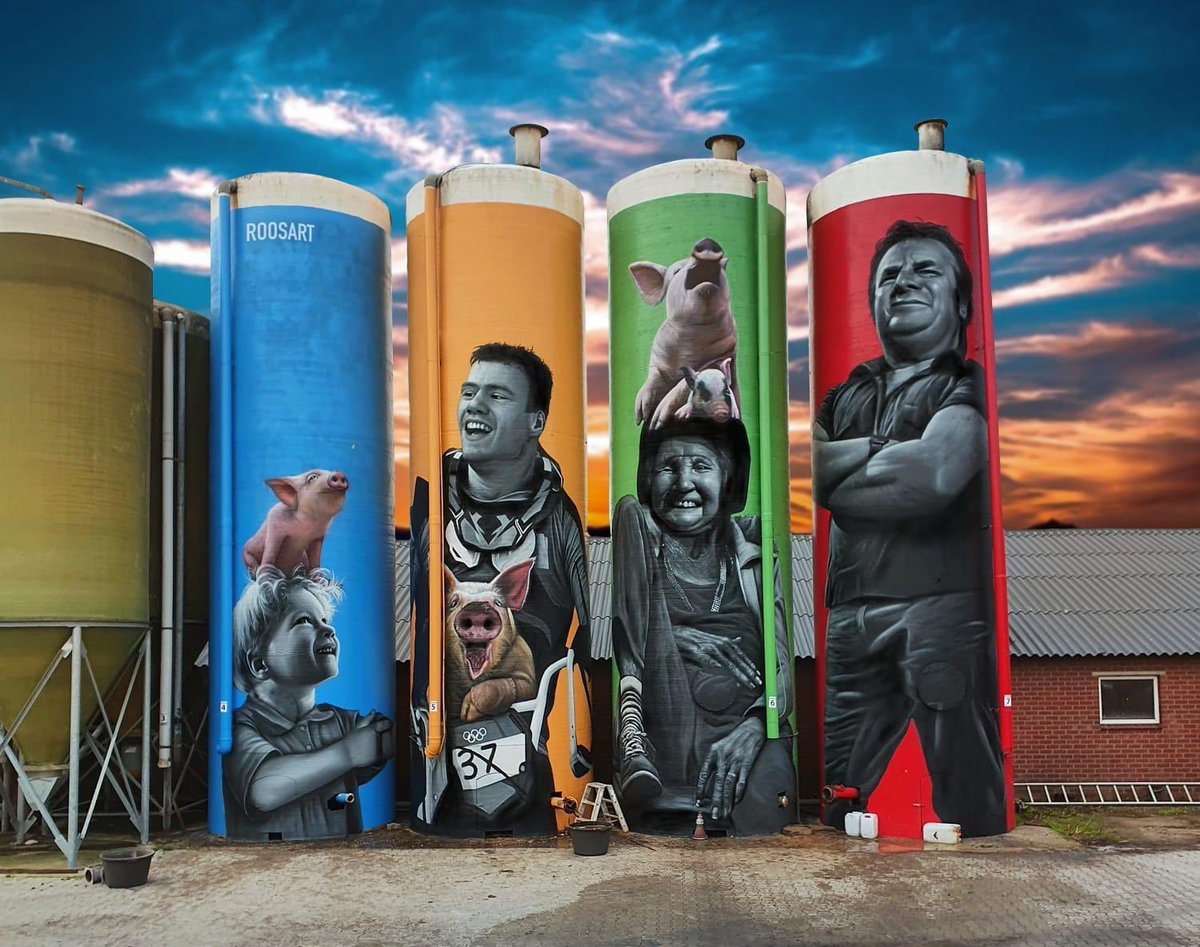 Super leuk nieuws🎉 @siloarttourachterhoek is genomineerd voor de Gelderse prijs voor ruimtelijke kwaliteit 2024💪🏻 Vind je de silo’s net zo mooi als dat wij vinden? Stem gelderland.nl/themas/omgevin… #siloart #achterhoek @siloarttourachterhoek @lindacommandeur @roosartpaintings