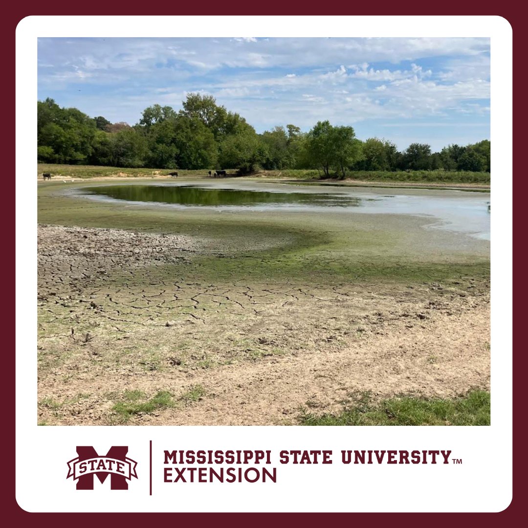 MSU Extension tweet media