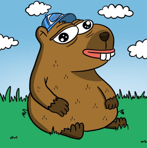 Aped $CAP on SUI. 

Cleanest branding i have seen so far on SUI, Which gives it an advantage over other memes within its ecosystem. 

Simple, memorable ticker. 

Good content on socials, lets see where this one goes. 

Also, they've given A well known DAO on SUI full ownership of