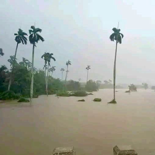 🇨🇺 Cuba - El huracán Helene causó fuertes lluvias e inundaciones. La Cruz Roja apoyó las evacuaciones y tareas de rescate en varias zonas que sufrieron derrumbes, cortes de electricidad y daños en la agricultura. 

Gracias, Cruz Roja Cubana ⛑️♥️