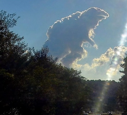 kaijugamer2000's tweet photo. Oh my god It's Godzilla. https://t.co/xjKdtbab8Z