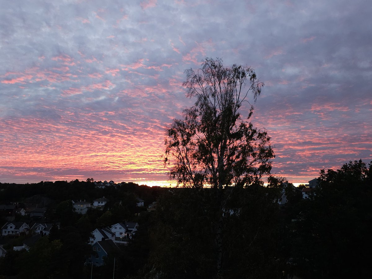HopeofSpring94's tweet photo. One of those sunsets 💜💜
#SunsetForTae #Taehyung 
#VofBTS #뷔 https://t.co/Ke8e3SrZrW