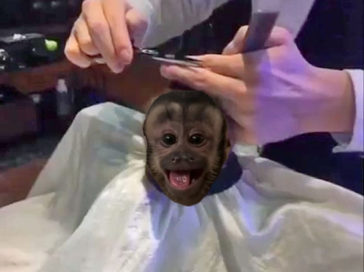Mattohno_'s tweet photo. @anon_rip Super haircut @GeorgieOnSOL_ https://t.co/CMbLN8egDb