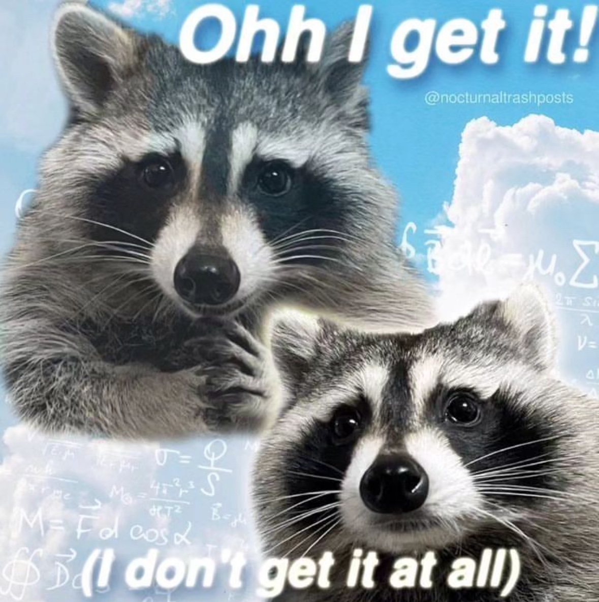 raccoonesthetic's tweet photo. https://t.co/eGklpa9KYU